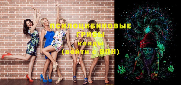 ПСИЛОЦИБИНОВЫЕ ГРИБЫ Тавда