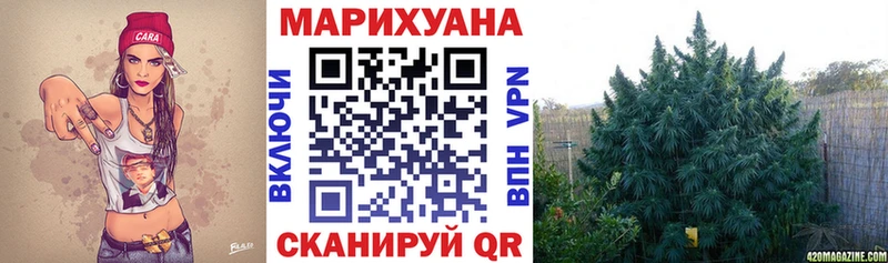 Купить  Чегем  Конопля ГИДРОПОН 